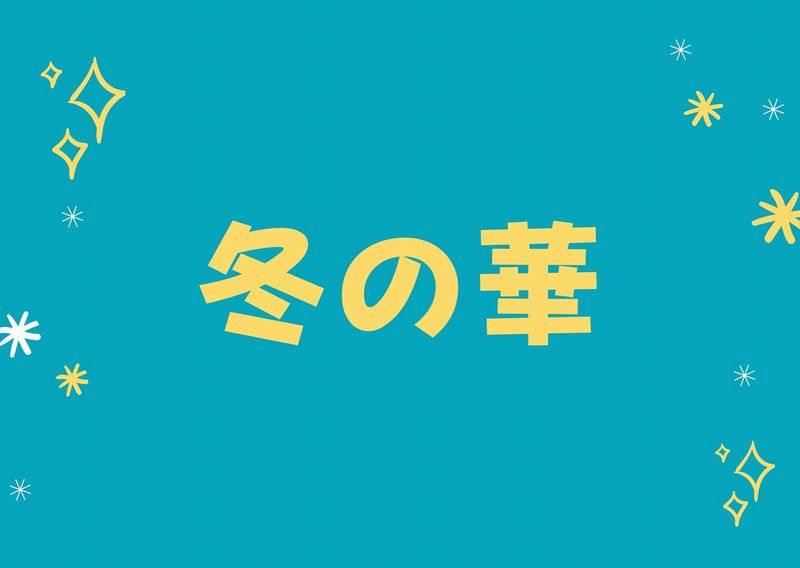 冬の華 あらすじねたばれ 結末 豪華キャスト過ぎる ドラマウオッチ