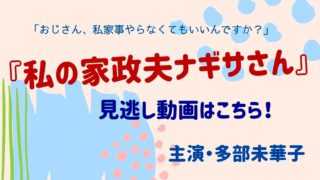 私の家政夫ナギサさん見逃し動画